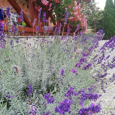 Ubytovanie Mondok Mocenok